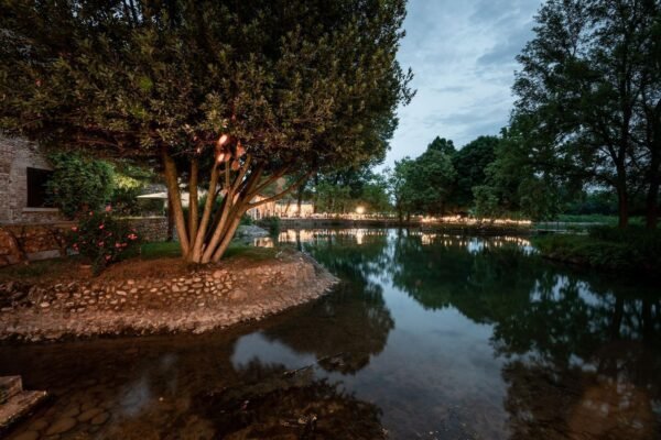 fb8ce8a0-f599-43e6-aac7-2cee5d5a5b54